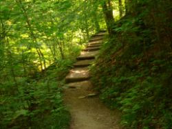 2013-07-20_Regina-F-Rau_Kochel-Rabenkopf (084).JPG